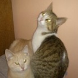 D 1ec483ea d836 4c40 b246 f2747678c1f5