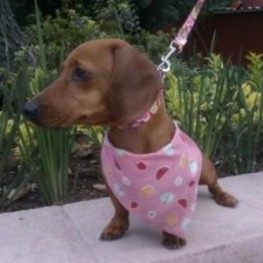 D 3836497b 895a 47e0 b84e bf73a60ebefe