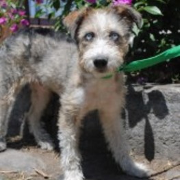 D b4aa319f f787 4304 b1a8 9606b344500c