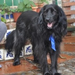 D a387db6d 2102 43d7 a787 e0bd12d69e1f