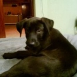 D e81a5379 c127 42e0 a36f a132e2ab046d