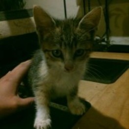 D 69618315 d79d 4f14 99f4 6897d774a840