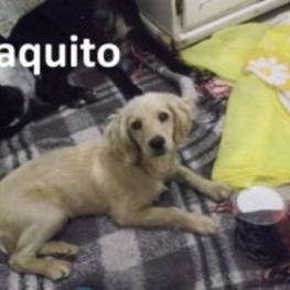 D ba1d63ee 7b94 40e8 86b7 1709928bfc9b