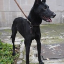 D 5809aff6 bc8c 4168 bd9d e72d410230fb