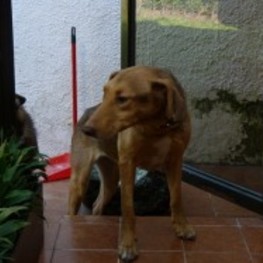 D cdf05722 10eb 4daf b845 958bbfd7a56b