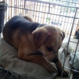 D 19df5eb0 1662 4f23 89ea 2a6db8d31ef4