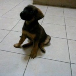 D eb233819 0e62 45e0 bd63 b4b5adfdad61