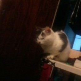 D 7d1f46e6 d21c 4d2c 9bb4 910d3a5338aa