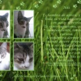 D 3f77fe04 ee12 4673 b70a 2ba48a7aa2c9