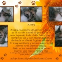 D e9e7e1d6 f4fd 4f91 8890 a11c8e738852