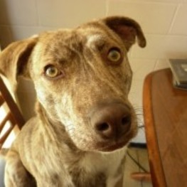 D acad3748 216b 4b76 b36d 1b39cb7cb0b9