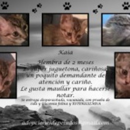 D 4c939ca6 7026 4be1 a098 0cef82b9bbb5