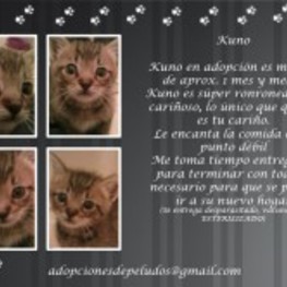 D e8053ceb 31a3 44ca bc08 621bdd2b3f62