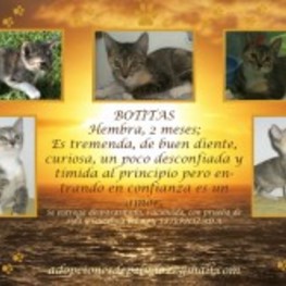 D c2e09880 e2f3 4b6a a15b 48b605cd23ea