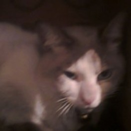 D 8122ad25 36da 4a7b b863 2dc076085d96