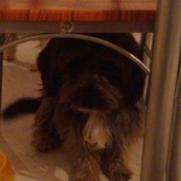 D 445142d0 9c5b 436b ac8d e53c1491e282