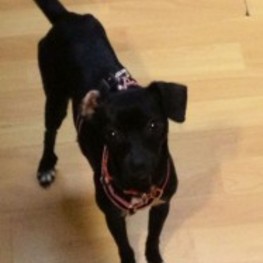 D 7446c0b7 e7a3 4958 a559 3b51c418e3b2