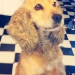 D cd504ade 8054 40a6 9b7a c608f20069d5