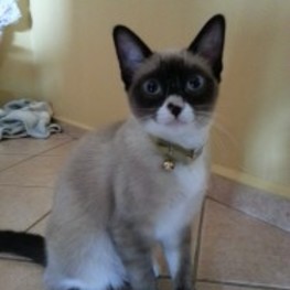 D 29877bc5 5d6a 466e 9081 beebf68a2953