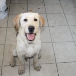 D 79cb5d1a 9074 438b acd8 ea0dee3f8dbb