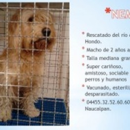 D 4c94c995 fe8c 4f74 9533 7049d3214965