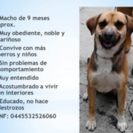 D dd85b982 2a27 4562 bd99 0bd39ab9d273