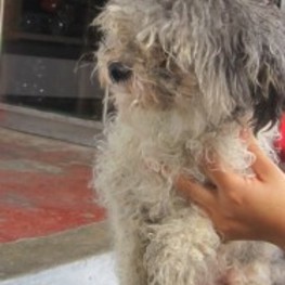 D 2db54bd5 f686 4f56 a469 50eb694d308e