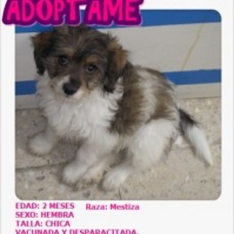 D 8543d831 aa1d 451b 9c26 dcacd7050cf2