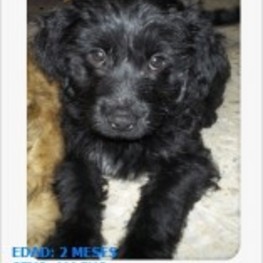 D 9870b2c9 6185 4146 b3c5 19256a0abd83