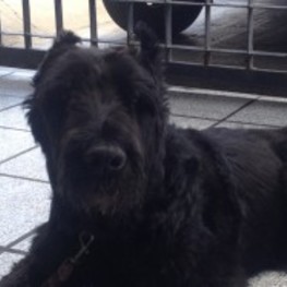 D 89a93d11 dafb 418d 8dc3 9a7ce2d3da23