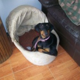 D 679c5d71 c6eb 4dd2 917c 53ad08cb040f