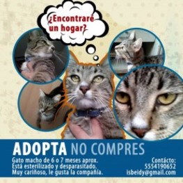 D 8b0dd691 af2c 4916 9811 1d46a18ece52