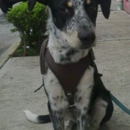 D d92ee9e6 fc1b 4b28 9f19 80ffbc359607