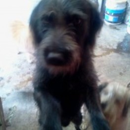 D b6d34604 8659 4ea4 acf2 d6fb17276d7b