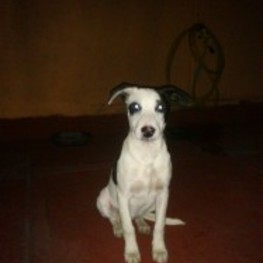 D 970b3990 6df7 4c25 9e73 c67ee3ed8768