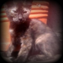 D 4530ba92 6715 4922 b0be dabd211f1d33