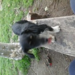 D 129226ba ed8c 44b2 8a42 41acdf0c5aff