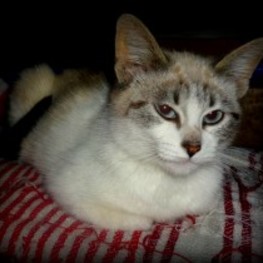 D 22b0c827 3d2c 4bdc 8e41 77caa7b763fd