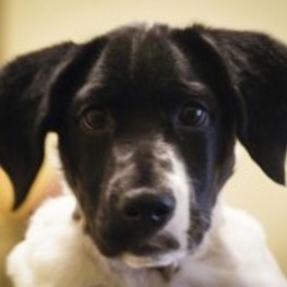 D 315c093b 27ef 44a3 8cbc a8e9a967e74f