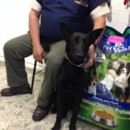 D 61306ca6 e56c 4f75 af7d 8e17c9c0d446