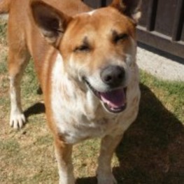 D c69a9e1f 7c85 4cca 8e13 f0152bf53ece