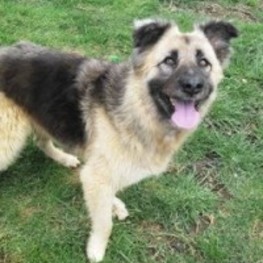 D 890da093 869c 4f17 b762 6474174d3a31