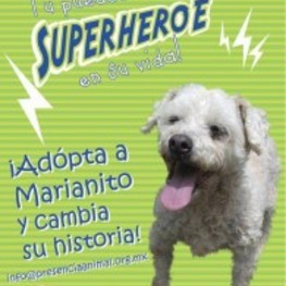 D ca246342 3d25 44c1 8b46 e90f337d79dc