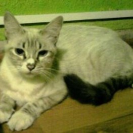 D 0925b938 8943 4afd b135 cd39f42f119c