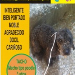 D b469c2fb fdcc 4e01 b102 6e50a98e8e13