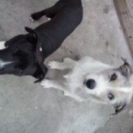 D 870e812b 841b 4a9d affe 465a3c20b90b