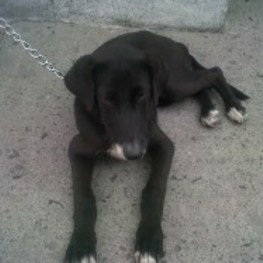 D b32213b2 86e3 4df1 9f28 abb74e8f7615