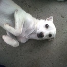 D 92fc64aa 3cb1 4380 913c 9b85a1851b8e