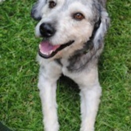 D dfbe79c2 1532 4499 b499 d468fd0057a8