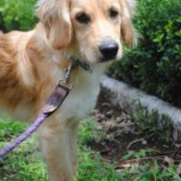 D 8e022080 e5d3 4368 aab0 638336bf32c6